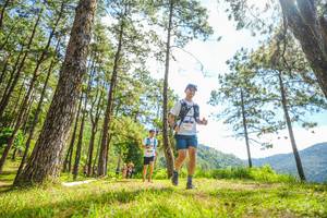 BIB: 
                            <button type="button" onclick="openModal(19289835)" class="btn btn-primary btn-sm float-right btn-popup" data-toggle="modal" data-target=".modal-high-quality">
                        <i class="fas fa-shopping-cart"></i> Add to Cart
                    </button>
                                            <button type="button" onclick="isThisMe(19289835, true)" class="btn btn-success btn-sm float-right btn-popup btn-isme hidden" data-toggle="tooltip" data-placement="bottom" title="นี่คือรูปของคุณใช่ไหม คลิกที่นี่เพื่อเอาเข้าอัลบั้ม">
                        <i class="fas fa-plus"></i> Add to album
                    </button>
                    <button type="button" onclick="isThisMe(19289835, false)" class="btn btn-warning btn-sm float-right btn-popup btn-isnotme hidden">
                        <i class="fas fa-ban"></i> Remove from album
                    </button>