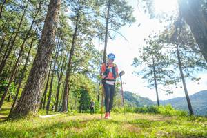 BIB: 
                            <button type="button" onclick="openModal(19290279)" class="btn btn-primary btn-sm float-right btn-popup" data-toggle="modal" data-target=".modal-high-quality">
                        <i class="fas fa-shopping-cart"></i> Add to Cart
                    </button>
                                            <button type="button" onclick="isThisMe(19290279, true)" class="btn btn-success btn-sm float-right btn-popup btn-isme hidden" data-toggle="tooltip" data-placement="bottom" title="นี่คือรูปของคุณใช่ไหม คลิกที่นี่เพื่อเอาเข้าอัลบั้ม">
                        <i class="fas fa-plus"></i> Add to album
                    </button>
                    <button type="button" onclick="isThisMe(19290279, false)" class="btn btn-warning btn-sm float-right btn-popup btn-isnotme hidden">
                        <i class="fas fa-ban"></i> Remove from album
                    </button>