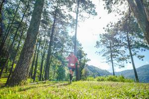 BIB: 
                            <button type="button" onclick="openModal(19280666)" class="btn btn-primary btn-sm float-right btn-popup" data-toggle="modal" data-target=".modal-high-quality">
                        <i class="fas fa-shopping-cart"></i> Add to Cart
                    </button>
                                            <button type="button" onclick="isThisMe(19280666, true)" class="btn btn-success btn-sm float-right btn-popup btn-isme hidden" data-toggle="tooltip" data-placement="bottom" title="นี่คือรูปของคุณใช่ไหม คลิกที่นี่เพื่อเอาเข้าอัลบั้ม">
                        <i class="fas fa-plus"></i> Add to album
                    </button>
                    <button type="button" onclick="isThisMe(19280666, false)" class="btn btn-warning btn-sm float-right btn-popup btn-isnotme hidden">
                        <i class="fas fa-ban"></i> Remove from album
                    </button>