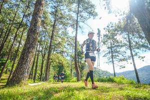 BIB: 
                            <button type="button" onclick="openModal(19290397)" class="btn btn-primary btn-sm float-right btn-popup" data-toggle="modal" data-target=".modal-high-quality">
                        <i class="fas fa-shopping-cart"></i> Add to Cart
                    </button>
                                            <button type="button" onclick="isThisMe(19290397, true)" class="btn btn-success btn-sm float-right btn-popup btn-isme hidden" data-toggle="tooltip" data-placement="bottom" title="นี่คือรูปของคุณใช่ไหม คลิกที่นี่เพื่อเอาเข้าอัลบั้ม">
                        <i class="fas fa-plus"></i> Add to album
                    </button>
                    <button type="button" onclick="isThisMe(19290397, false)" class="btn btn-warning btn-sm float-right btn-popup btn-isnotme hidden">
                        <i class="fas fa-ban"></i> Remove from album
                    </button>