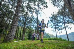 BIB: 
                            <button type="button" onclick="openModal(19286097)" class="btn btn-primary btn-sm float-right btn-popup" data-toggle="modal" data-target=".modal-high-quality">
                        <i class="fas fa-shopping-cart"></i> Add to Cart
                    </button>
                                            <button type="button" onclick="isThisMe(19286097, true)" class="btn btn-success btn-sm float-right btn-popup btn-isme hidden" data-toggle="tooltip" data-placement="bottom" title="นี่คือรูปของคุณใช่ไหม คลิกที่นี่เพื่อเอาเข้าอัลบั้ม">
                        <i class="fas fa-plus"></i> Add to album
                    </button>
                    <button type="button" onclick="isThisMe(19286097, false)" class="btn btn-warning btn-sm float-right btn-popup btn-isnotme hidden">
                        <i class="fas fa-ban"></i> Remove from album
                    </button>