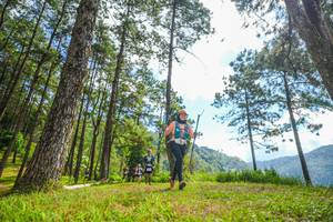 BIB: 
                            <button type="button" onclick="openModal(19287034)" class="btn btn-primary btn-sm float-right btn-popup" data-toggle="modal" data-target=".modal-high-quality">
                        <i class="fas fa-shopping-cart"></i> Add to Cart
                    </button>
                                            <button type="button" onclick="isThisMe(19287034, true)" class="btn btn-success btn-sm float-right btn-popup btn-isme hidden" data-toggle="tooltip" data-placement="bottom" title="นี่คือรูปของคุณใช่ไหม คลิกที่นี่เพื่อเอาเข้าอัลบั้ม">
                        <i class="fas fa-plus"></i> Add to album
                    </button>
                    <button type="button" onclick="isThisMe(19287034, false)" class="btn btn-warning btn-sm float-right btn-popup btn-isnotme hidden">
                        <i class="fas fa-ban"></i> Remove from album
                    </button>