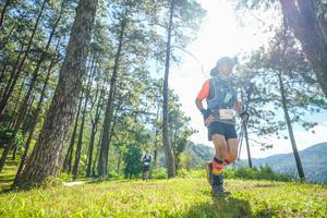 BIB: 5553
                            <button type="button" onclick="openModal(19284816)" class="btn btn-primary btn-sm float-right btn-popup" data-toggle="modal" data-target=".modal-high-quality">
                        <i class="fas fa-shopping-cart"></i> Add to Cart
                    </button>
                                            <button type="button" onclick="isThisMe(19284816, true)" class="btn btn-success btn-sm float-right btn-popup btn-isme hidden" data-toggle="tooltip" data-placement="bottom" title="นี่คือรูปของคุณใช่ไหม คลิกที่นี่เพื่อเอาเข้าอัลบั้ม">
                        <i class="fas fa-plus"></i> Add to album
                    </button>
                    <button type="button" onclick="isThisMe(19284816, false)" class="btn btn-warning btn-sm float-right btn-popup btn-isnotme hidden">
                        <i class="fas fa-ban"></i> Remove from album
                    </button>