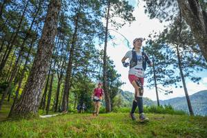 BIB: 
                            <button type="button" onclick="openModal(19284925)" class="btn btn-primary btn-sm float-right btn-popup" data-toggle="modal" data-target=".modal-high-quality">
                        <i class="fas fa-shopping-cart"></i> Add to Cart
                    </button>
                                            <button type="button" onclick="isThisMe(19284925, true)" class="btn btn-success btn-sm float-right btn-popup btn-isme hidden" data-toggle="tooltip" data-placement="bottom" title="นี่คือรูปของคุณใช่ไหม คลิกที่นี่เพื่อเอาเข้าอัลบั้ม">
                        <i class="fas fa-plus"></i> Add to album
                    </button>
                    <button type="button" onclick="isThisMe(19284925, false)" class="btn btn-warning btn-sm float-right btn-popup btn-isnotme hidden">
                        <i class="fas fa-ban"></i> Remove from album
                    </button>