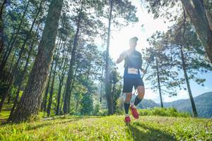 BIB: 
                            <button type="button" onclick="openModal(19280685)" class="btn btn-primary btn-sm float-right btn-popup" data-toggle="modal" data-target=".modal-high-quality">
                        <i class="fas fa-shopping-cart"></i> Add to Cart
                    </button>
                                            <button type="button" onclick="isThisMe(19280685, true)" class="btn btn-success btn-sm float-right btn-popup btn-isme hidden" data-toggle="tooltip" data-placement="bottom" title="นี่คือรูปของคุณใช่ไหม คลิกที่นี่เพื่อเอาเข้าอัลบั้ม">
                        <i class="fas fa-plus"></i> Add to album
                    </button>
                    <button type="button" onclick="isThisMe(19280685, false)" class="btn btn-warning btn-sm float-right btn-popup btn-isnotme hidden">
                        <i class="fas fa-ban"></i> Remove from album
                    </button>