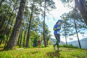 BIB: 
                            <button type="button" onclick="openModal(19286881)" class="btn btn-primary btn-sm float-right btn-popup" data-toggle="modal" data-target=".modal-high-quality">
                        <i class="fas fa-shopping-cart"></i> Add to Cart
                    </button>
                                            <button type="button" onclick="isThisMe(19286881, true)" class="btn btn-success btn-sm float-right btn-popup btn-isme hidden" data-toggle="tooltip" data-placement="bottom" title="นี่คือรูปของคุณใช่ไหม คลิกที่นี่เพื่อเอาเข้าอัลบั้ม">
                        <i class="fas fa-plus"></i> Add to album
                    </button>
                    <button type="button" onclick="isThisMe(19286881, false)" class="btn btn-warning btn-sm float-right btn-popup btn-isnotme hidden">
                        <i class="fas fa-ban"></i> Remove from album
                    </button>