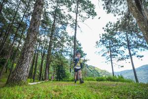 BIB: 
                            <button type="button" onclick="openModal(19287966)" class="btn btn-primary btn-sm float-right btn-popup" data-toggle="modal" data-target=".modal-high-quality">
                        <i class="fas fa-shopping-cart"></i> Add to Cart
                    </button>
                                            <button type="button" onclick="isThisMe(19287966, true)" class="btn btn-success btn-sm float-right btn-popup btn-isme hidden" data-toggle="tooltip" data-placement="bottom" title="นี่คือรูปของคุณใช่ไหม คลิกที่นี่เพื่อเอาเข้าอัลบั้ม">
                        <i class="fas fa-plus"></i> Add to album
                    </button>
                    <button type="button" onclick="isThisMe(19287966, false)" class="btn btn-warning btn-sm float-right btn-popup btn-isnotme hidden">
                        <i class="fas fa-ban"></i> Remove from album
                    </button>