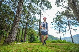 BIB: 
                            <button type="button" onclick="openModal(19287447)" class="btn btn-primary btn-sm float-right btn-popup" data-toggle="modal" data-target=".modal-high-quality">
                        <i class="fas fa-shopping-cart"></i> Add to Cart
                    </button>
                                            <button type="button" onclick="isThisMe(19287447, true)" class="btn btn-success btn-sm float-right btn-popup btn-isme hidden" data-toggle="tooltip" data-placement="bottom" title="นี่คือรูปของคุณใช่ไหม คลิกที่นี่เพื่อเอาเข้าอัลบั้ม">
                        <i class="fas fa-plus"></i> Add to album
                    </button>
                    <button type="button" onclick="isThisMe(19287447, false)" class="btn btn-warning btn-sm float-right btn-popup btn-isnotme hidden">
                        <i class="fas fa-ban"></i> Remove from album
                    </button>