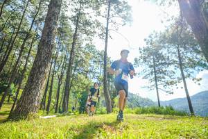 BIB: 
                            <button type="button" onclick="openModal(19286557)" class="btn btn-primary btn-sm float-right btn-popup" data-toggle="modal" data-target=".modal-high-quality">
                        <i class="fas fa-shopping-cart"></i> Add to Cart
                    </button>
                                            <button type="button" onclick="isThisMe(19286557, true)" class="btn btn-success btn-sm float-right btn-popup btn-isme hidden" data-toggle="tooltip" data-placement="bottom" title="นี่คือรูปของคุณใช่ไหม คลิกที่นี่เพื่อเอาเข้าอัลบั้ม">
                        <i class="fas fa-plus"></i> Add to album
                    </button>
                    <button type="button" onclick="isThisMe(19286557, false)" class="btn btn-warning btn-sm float-right btn-popup btn-isnotme hidden">
                        <i class="fas fa-ban"></i> Remove from album
                    </button>