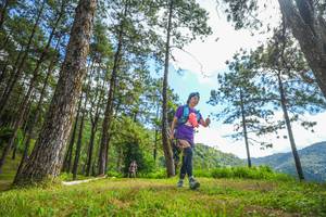 BIB: 203
                            <button type="button" onclick="openModal(19291092)" class="btn btn-primary btn-sm float-right btn-popup" data-toggle="modal" data-target=".modal-high-quality">
                        <i class="fas fa-shopping-cart"></i> Add to Cart
                    </button>
                                            <button type="button" onclick="isThisMe(19291092, true)" class="btn btn-success btn-sm float-right btn-popup btn-isme hidden" data-toggle="tooltip" data-placement="bottom" title="นี่คือรูปของคุณใช่ไหม คลิกที่นี่เพื่อเอาเข้าอัลบั้ม">
                        <i class="fas fa-plus"></i> Add to album
                    </button>
                    <button type="button" onclick="isThisMe(19291092, false)" class="btn btn-warning btn-sm float-right btn-popup btn-isnotme hidden">
                        <i class="fas fa-ban"></i> Remove from album
                    </button>