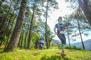 BIB: 
                            <button type="button" onclick="openModal(19287100)" class="btn btn-primary btn-sm float-right btn-popup" data-toggle="modal" data-target=".modal-high-quality">
                        <i class="fas fa-shopping-cart"></i> Add to Cart
                    </button>
                                            <button type="button" onclick="isThisMe(19287100, true)" class="btn btn-success btn-sm float-right btn-popup btn-isme hidden" data-toggle="tooltip" data-placement="bottom" title="นี่คือรูปของคุณใช่ไหม คลิกที่นี่เพื่อเอาเข้าอัลบั้ม">
                        <i class="fas fa-plus"></i> Add to album
                    </button>
                    <button type="button" onclick="isThisMe(19287100, false)" class="btn btn-warning btn-sm float-right btn-popup btn-isnotme hidden">
                        <i class="fas fa-ban"></i> Remove from album
                    </button>