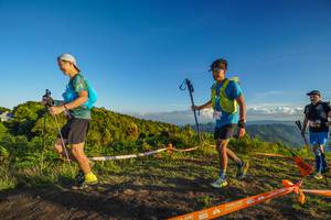 BIB: 10000, 
                            <button type="button" onclick="openModal(19322308)" class="btn btn-primary btn-sm float-right btn-popup" data-toggle="modal" data-target=".modal-high-quality">
                        <i class="fas fa-shopping-cart"></i> Add to Cart
                    </button>
                                            <button type="button" onclick="isThisMe(19322308, true)" class="btn btn-success btn-sm float-right btn-popup btn-isme hidden" data-toggle="tooltip" data-placement="bottom" title="นี่คือรูปของคุณใช่ไหม คลิกที่นี่เพื่อเอาเข้าอัลบั้ม">
                        <i class="fas fa-plus"></i> Add to album
                    </button>
                    <button type="button" onclick="isThisMe(19322308, false)" class="btn btn-warning btn-sm float-right btn-popup btn-isnotme hidden">
                        <i class="fas fa-ban"></i> Remove from album
                    </button>