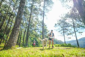 BIB: 
                            <button type="button" onclick="openModal(19285125)" class="btn btn-primary btn-sm float-right btn-popup" data-toggle="modal" data-target=".modal-high-quality">
                        <i class="fas fa-shopping-cart"></i> Add to Cart
                    </button>
                                            <button type="button" onclick="isThisMe(19285125, true)" class="btn btn-success btn-sm float-right btn-popup btn-isme hidden" data-toggle="tooltip" data-placement="bottom" title="นี่คือรูปของคุณใช่ไหม คลิกที่นี่เพื่อเอาเข้าอัลบั้ม">
                        <i class="fas fa-plus"></i> Add to album
                    </button>
                    <button type="button" onclick="isThisMe(19285125, false)" class="btn btn-warning btn-sm float-right btn-popup btn-isnotme hidden">
                        <i class="fas fa-ban"></i> Remove from album
                    </button>