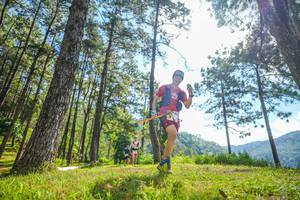 BIB: 
                            <button type="button" onclick="openModal(19284873)" class="btn btn-primary btn-sm float-right btn-popup" data-toggle="modal" data-target=".modal-high-quality">
                        <i class="fas fa-shopping-cart"></i> Add to Cart
                    </button>
                                            <button type="button" onclick="isThisMe(19284873, true)" class="btn btn-success btn-sm float-right btn-popup btn-isme hidden" data-toggle="tooltip" data-placement="bottom" title="นี่คือรูปของคุณใช่ไหม คลิกที่นี่เพื่อเอาเข้าอัลบั้ม">
                        <i class="fas fa-plus"></i> Add to album
                    </button>
                    <button type="button" onclick="isThisMe(19284873, false)" class="btn btn-warning btn-sm float-right btn-popup btn-isnotme hidden">
                        <i class="fas fa-ban"></i> Remove from album
                    </button>