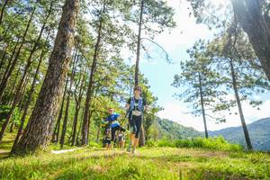 BIB: 
                            <button type="button" onclick="openModal(19290913)" class="btn btn-primary btn-sm float-right btn-popup" data-toggle="modal" data-target=".modal-high-quality">
                        <i class="fas fa-shopping-cart"></i> Add to Cart
                    </button>
                                            <button type="button" onclick="isThisMe(19290913, true)" class="btn btn-success btn-sm float-right btn-popup btn-isme hidden" data-toggle="tooltip" data-placement="bottom" title="นี่คือรูปของคุณใช่ไหม คลิกที่นี่เพื่อเอาเข้าอัลบั้ม">
                        <i class="fas fa-plus"></i> Add to album
                    </button>
                    <button type="button" onclick="isThisMe(19290913, false)" class="btn btn-warning btn-sm float-right btn-popup btn-isnotme hidden">
                        <i class="fas fa-ban"></i> Remove from album
                    </button>