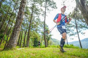 BIB: 
                            <button type="button" onclick="openModal(19288505)" class="btn btn-primary btn-sm float-right btn-popup" data-toggle="modal" data-target=".modal-high-quality">
                        <i class="fas fa-shopping-cart"></i> Add to Cart
                    </button>
                                            <button type="button" onclick="isThisMe(19288505, true)" class="btn btn-success btn-sm float-right btn-popup btn-isme hidden" data-toggle="tooltip" data-placement="bottom" title="นี่คือรูปของคุณใช่ไหม คลิกที่นี่เพื่อเอาเข้าอัลบั้ม">
                        <i class="fas fa-plus"></i> Add to album
                    </button>
                    <button type="button" onclick="isThisMe(19288505, false)" class="btn btn-warning btn-sm float-right btn-popup btn-isnotme hidden">
                        <i class="fas fa-ban"></i> Remove from album
                    </button>