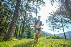 BIB: 
                            <button type="button" onclick="openModal(19282289)" class="btn btn-primary btn-sm float-right btn-popup" data-toggle="modal" data-target=".modal-high-quality">
                        <i class="fas fa-shopping-cart"></i> Add to Cart
                    </button>
                                            <button type="button" onclick="isThisMe(19282289, true)" class="btn btn-success btn-sm float-right btn-popup btn-isme hidden" data-toggle="tooltip" data-placement="bottom" title="นี่คือรูปของคุณใช่ไหม คลิกที่นี่เพื่อเอาเข้าอัลบั้ม">
                        <i class="fas fa-plus"></i> Add to album
                    </button>
                    <button type="button" onclick="isThisMe(19282289, false)" class="btn btn-warning btn-sm float-right btn-popup btn-isnotme hidden">
                        <i class="fas fa-ban"></i> Remove from album
                    </button>