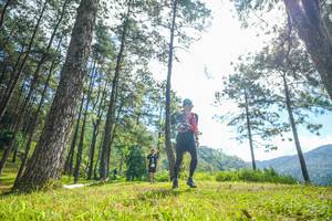 BIB: 
                            <button type="button" onclick="openModal(19284375)" class="btn btn-primary btn-sm float-right btn-popup" data-toggle="modal" data-target=".modal-high-quality">
                        <i class="fas fa-shopping-cart"></i> Add to Cart
                    </button>
                                            <button type="button" onclick="isThisMe(19284375, true)" class="btn btn-success btn-sm float-right btn-popup btn-isme hidden" data-toggle="tooltip" data-placement="bottom" title="นี่คือรูปของคุณใช่ไหม คลิกที่นี่เพื่อเอาเข้าอัลบั้ม">
                        <i class="fas fa-plus"></i> Add to album
                    </button>
                    <button type="button" onclick="isThisMe(19284375, false)" class="btn btn-warning btn-sm float-right btn-popup btn-isnotme hidden">
                        <i class="fas fa-ban"></i> Remove from album
                    </button>