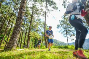 BIB: 
                            <button type="button" onclick="openModal(19289777)" class="btn btn-primary btn-sm float-right btn-popup" data-toggle="modal" data-target=".modal-high-quality">
                        <i class="fas fa-shopping-cart"></i> Add to Cart
                    </button>
                                            <button type="button" onclick="isThisMe(19289777, true)" class="btn btn-success btn-sm float-right btn-popup btn-isme hidden" data-toggle="tooltip" data-placement="bottom" title="นี่คือรูปของคุณใช่ไหม คลิกที่นี่เพื่อเอาเข้าอัลบั้ม">
                        <i class="fas fa-plus"></i> Add to album
                    </button>
                    <button type="button" onclick="isThisMe(19289777, false)" class="btn btn-warning btn-sm float-right btn-popup btn-isnotme hidden">
                        <i class="fas fa-ban"></i> Remove from album
                    </button>