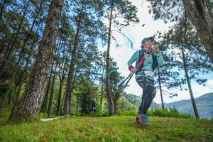 BIB: 
                            <button type="button" onclick="openModal(19284978)" class="btn btn-primary btn-sm float-right btn-popup" data-toggle="modal" data-target=".modal-high-quality">
                        <i class="fas fa-shopping-cart"></i> Add to Cart
                    </button>
                                            <button type="button" onclick="isThisMe(19284978, true)" class="btn btn-success btn-sm float-right btn-popup btn-isme hidden" data-toggle="tooltip" data-placement="bottom" title="นี่คือรูปของคุณใช่ไหม คลิกที่นี่เพื่อเอาเข้าอัลบั้ม">
                        <i class="fas fa-plus"></i> Add to album
                    </button>
                    <button type="button" onclick="isThisMe(19284978, false)" class="btn btn-warning btn-sm float-right btn-popup btn-isnotme hidden">
                        <i class="fas fa-ban"></i> Remove from album
                    </button>