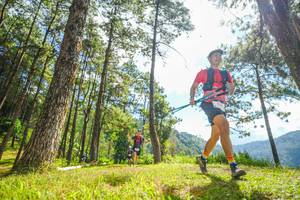 BIB: 
                            <button type="button" onclick="openModal(19287063)" class="btn btn-primary btn-sm float-right btn-popup" data-toggle="modal" data-target=".modal-high-quality">
                        <i class="fas fa-shopping-cart"></i> Add to Cart
                    </button>
                                            <button type="button" onclick="isThisMe(19287063, true)" class="btn btn-success btn-sm float-right btn-popup btn-isme hidden" data-toggle="tooltip" data-placement="bottom" title="นี่คือรูปของคุณใช่ไหม คลิกที่นี่เพื่อเอาเข้าอัลบั้ม">
                        <i class="fas fa-plus"></i> Add to album
                    </button>
                    <button type="button" onclick="isThisMe(19287063, false)" class="btn btn-warning btn-sm float-right btn-popup btn-isnotme hidden">
                        <i class="fas fa-ban"></i> Remove from album
                    </button>