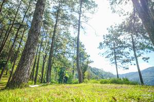 BIB: 
                            <button type="button" onclick="openModal(19284082)" class="btn btn-primary btn-sm float-right btn-popup" data-toggle="modal" data-target=".modal-high-quality">
                        <i class="fas fa-shopping-cart"></i> Add to Cart
                    </button>
                                            <button type="button" onclick="isThisMe(19284082, true)" class="btn btn-success btn-sm float-right btn-popup btn-isme hidden" data-toggle="tooltip" data-placement="bottom" title="นี่คือรูปของคุณใช่ไหม คลิกที่นี่เพื่อเอาเข้าอัลบั้ม">
                        <i class="fas fa-plus"></i> Add to album
                    </button>
                    <button type="button" onclick="isThisMe(19284082, false)" class="btn btn-warning btn-sm float-right btn-popup btn-isnotme hidden">
                        <i class="fas fa-ban"></i> Remove from album
                    </button>