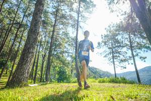 BIB: 
                            <button type="button" onclick="openModal(19283859)" class="btn btn-primary btn-sm float-right btn-popup" data-toggle="modal" data-target=".modal-high-quality">
                        <i class="fas fa-shopping-cart"></i> Add to Cart
                    </button>
                                            <button type="button" onclick="isThisMe(19283859, true)" class="btn btn-success btn-sm float-right btn-popup btn-isme hidden" data-toggle="tooltip" data-placement="bottom" title="นี่คือรูปของคุณใช่ไหม คลิกที่นี่เพื่อเอาเข้าอัลบั้ม">
                        <i class="fas fa-plus"></i> Add to album
                    </button>
                    <button type="button" onclick="isThisMe(19283859, false)" class="btn btn-warning btn-sm float-right btn-popup btn-isnotme hidden">
                        <i class="fas fa-ban"></i> Remove from album
                    </button>