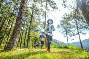 BIB: 1909, , 
                            <button type="button" onclick="openModal(19289725)" class="btn btn-primary btn-sm float-right btn-popup" data-toggle="modal" data-target=".modal-high-quality">
                        <i class="fas fa-shopping-cart"></i> Add to Cart
                    </button>
                                            <button type="button" onclick="isThisMe(19289725, true)" class="btn btn-success btn-sm float-right btn-popup btn-isme hidden" data-toggle="tooltip" data-placement="bottom" title="นี่คือรูปของคุณใช่ไหม คลิกที่นี่เพื่อเอาเข้าอัลบั้ม">
                        <i class="fas fa-plus"></i> Add to album
                    </button>
                    <button type="button" onclick="isThisMe(19289725, false)" class="btn btn-warning btn-sm float-right btn-popup btn-isnotme hidden">
                        <i class="fas fa-ban"></i> Remove from album
                    </button>