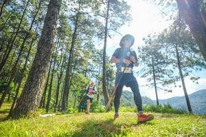 BIB: 
                            <button type="button" onclick="openModal(19286728)" class="btn btn-primary btn-sm float-right btn-popup" data-toggle="modal" data-target=".modal-high-quality">
                        <i class="fas fa-shopping-cart"></i> Add to Cart
                    </button>
                                            <button type="button" onclick="isThisMe(19286728, true)" class="btn btn-success btn-sm float-right btn-popup btn-isme hidden" data-toggle="tooltip" data-placement="bottom" title="นี่คือรูปของคุณใช่ไหม คลิกที่นี่เพื่อเอาเข้าอัลบั้ม">
                        <i class="fas fa-plus"></i> Add to album
                    </button>
                    <button type="button" onclick="isThisMe(19286728, false)" class="btn btn-warning btn-sm float-right btn-popup btn-isnotme hidden">
                        <i class="fas fa-ban"></i> Remove from album
                    </button>