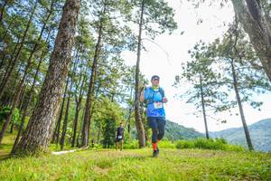 BIB: 
                            <button type="button" onclick="openModal(19288197)" class="btn btn-primary btn-sm float-right btn-popup" data-toggle="modal" data-target=".modal-high-quality">
                        <i class="fas fa-shopping-cart"></i> Add to Cart
                    </button>
                                            <button type="button" onclick="isThisMe(19288197, true)" class="btn btn-success btn-sm float-right btn-popup btn-isme hidden" data-toggle="tooltip" data-placement="bottom" title="นี่คือรูปของคุณใช่ไหม คลิกที่นี่เพื่อเอาเข้าอัลบั้ม">
                        <i class="fas fa-plus"></i> Add to album
                    </button>
                    <button type="button" onclick="isThisMe(19288197, false)" class="btn btn-warning btn-sm float-right btn-popup btn-isnotme hidden">
                        <i class="fas fa-ban"></i> Remove from album
                    </button>