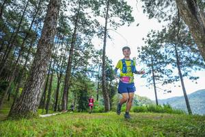 BIB: 
                            <button type="button" onclick="openModal(19287950)" class="btn btn-primary btn-sm float-right btn-popup" data-toggle="modal" data-target=".modal-high-quality">
                        <i class="fas fa-shopping-cart"></i> Add to Cart
                    </button>
                                            <button type="button" onclick="isThisMe(19287950, true)" class="btn btn-success btn-sm float-right btn-popup btn-isme hidden" data-toggle="tooltip" data-placement="bottom" title="นี่คือรูปของคุณใช่ไหม คลิกที่นี่เพื่อเอาเข้าอัลบั้ม">
                        <i class="fas fa-plus"></i> Add to album
                    </button>
                    <button type="button" onclick="isThisMe(19287950, false)" class="btn btn-warning btn-sm float-right btn-popup btn-isnotme hidden">
                        <i class="fas fa-ban"></i> Remove from album
                    </button>