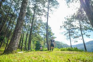 BIB: 
                            <button type="button" onclick="openModal(19284300)" class="btn btn-primary btn-sm float-right btn-popup" data-toggle="modal" data-target=".modal-high-quality">
                        <i class="fas fa-shopping-cart"></i> Add to Cart
                    </button>
                                            <button type="button" onclick="isThisMe(19284300, true)" class="btn btn-success btn-sm float-right btn-popup btn-isme hidden" data-toggle="tooltip" data-placement="bottom" title="นี่คือรูปของคุณใช่ไหม คลิกที่นี่เพื่อเอาเข้าอัลบั้ม">
                        <i class="fas fa-plus"></i> Add to album
                    </button>
                    <button type="button" onclick="isThisMe(19284300, false)" class="btn btn-warning btn-sm float-right btn-popup btn-isnotme hidden">
                        <i class="fas fa-ban"></i> Remove from album
                    </button>