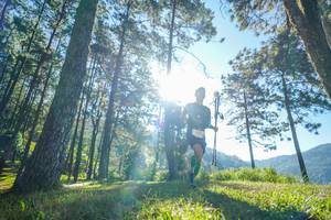 BIB: 
                            <button type="button" onclick="openModal(19279569)" class="btn btn-primary btn-sm float-right btn-popup" data-toggle="modal" data-target=".modal-high-quality">
                        <i class="fas fa-shopping-cart"></i> Add to Cart
                    </button>
                                            <button type="button" onclick="isThisMe(19279569, true)" class="btn btn-success btn-sm float-right btn-popup btn-isme hidden" data-toggle="tooltip" data-placement="bottom" title="นี่คือรูปของคุณใช่ไหม คลิกที่นี่เพื่อเอาเข้าอัลบั้ม">
                        <i class="fas fa-plus"></i> Add to album
                    </button>
                    <button type="button" onclick="isThisMe(19279569, false)" class="btn btn-warning btn-sm float-right btn-popup btn-isnotme hidden">
                        <i class="fas fa-ban"></i> Remove from album
                    </button>