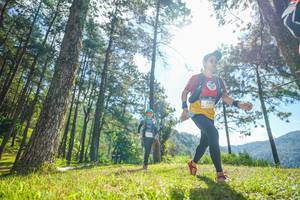 BIB: 
                            <button type="button" onclick="openModal(19282696)" class="btn btn-primary btn-sm float-right btn-popup" data-toggle="modal" data-target=".modal-high-quality">
                        <i class="fas fa-shopping-cart"></i> Add to Cart
                    </button>
                                            <button type="button" onclick="isThisMe(19282696, true)" class="btn btn-success btn-sm float-right btn-popup btn-isme hidden" data-toggle="tooltip" data-placement="bottom" title="นี่คือรูปของคุณใช่ไหม คลิกที่นี่เพื่อเอาเข้าอัลบั้ม">
                        <i class="fas fa-plus"></i> Add to album
                    </button>
                    <button type="button" onclick="isThisMe(19282696, false)" class="btn btn-warning btn-sm float-right btn-popup btn-isnotme hidden">
                        <i class="fas fa-ban"></i> Remove from album
                    </button>