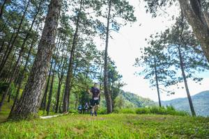 BIB: 
                            <button type="button" onclick="openModal(19287860)" class="btn btn-primary btn-sm float-right btn-popup" data-toggle="modal" data-target=".modal-high-quality">
                        <i class="fas fa-shopping-cart"></i> Add to Cart
                    </button>
                                            <button type="button" onclick="isThisMe(19287860, true)" class="btn btn-success btn-sm float-right btn-popup btn-isme hidden" data-toggle="tooltip" data-placement="bottom" title="นี่คือรูปของคุณใช่ไหม คลิกที่นี่เพื่อเอาเข้าอัลบั้ม">
                        <i class="fas fa-plus"></i> Add to album
                    </button>
                    <button type="button" onclick="isThisMe(19287860, false)" class="btn btn-warning btn-sm float-right btn-popup btn-isnotme hidden">
                        <i class="fas fa-ban"></i> Remove from album
                    </button>