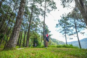 BIB: 
                            <button type="button" onclick="openModal(19287642)" class="btn btn-primary btn-sm float-right btn-popup" data-toggle="modal" data-target=".modal-high-quality">
                        <i class="fas fa-shopping-cart"></i> Add to Cart
                    </button>
                                            <button type="button" onclick="isThisMe(19287642, true)" class="btn btn-success btn-sm float-right btn-popup btn-isme hidden" data-toggle="tooltip" data-placement="bottom" title="นี่คือรูปของคุณใช่ไหม คลิกที่นี่เพื่อเอาเข้าอัลบั้ม">
                        <i class="fas fa-plus"></i> Add to album
                    </button>
                    <button type="button" onclick="isThisMe(19287642, false)" class="btn btn-warning btn-sm float-right btn-popup btn-isnotme hidden">
                        <i class="fas fa-ban"></i> Remove from album
                    </button>