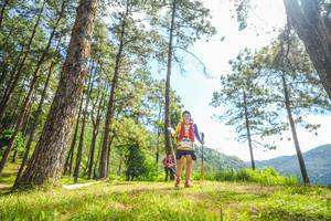 BIB: 
                            <button type="button" onclick="openModal(19290600)" class="btn btn-primary btn-sm float-right btn-popup" data-toggle="modal" data-target=".modal-high-quality">
                        <i class="fas fa-shopping-cart"></i> Add to Cart
                    </button>
                                            <button type="button" onclick="isThisMe(19290600, true)" class="btn btn-success btn-sm float-right btn-popup btn-isme hidden" data-toggle="tooltip" data-placement="bottom" title="นี่คือรูปของคุณใช่ไหม คลิกที่นี่เพื่อเอาเข้าอัลบั้ม">
                        <i class="fas fa-plus"></i> Add to album
                    </button>
                    <button type="button" onclick="isThisMe(19290600, false)" class="btn btn-warning btn-sm float-right btn-popup btn-isnotme hidden">
                        <i class="fas fa-ban"></i> Remove from album
                    </button>