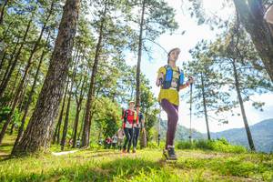 BIB: 
                            <button type="button" onclick="openModal(19289144)" class="btn btn-primary btn-sm float-right btn-popup" data-toggle="modal" data-target=".modal-high-quality">
                        <i class="fas fa-shopping-cart"></i> Add to Cart
                    </button>
                                            <button type="button" onclick="isThisMe(19289144, true)" class="btn btn-success btn-sm float-right btn-popup btn-isme hidden" data-toggle="tooltip" data-placement="bottom" title="นี่คือรูปของคุณใช่ไหม คลิกที่นี่เพื่อเอาเข้าอัลบั้ม">
                        <i class="fas fa-plus"></i> Add to album
                    </button>
                    <button type="button" onclick="isThisMe(19289144, false)" class="btn btn-warning btn-sm float-right btn-popup btn-isnotme hidden">
                        <i class="fas fa-ban"></i> Remove from album
                    </button>