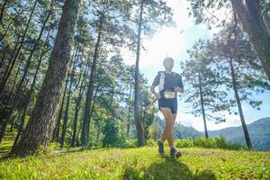 BIB: 
                            <button type="button" onclick="openModal(19281510)" class="btn btn-primary btn-sm float-right btn-popup" data-toggle="modal" data-target=".modal-high-quality">
                        <i class="fas fa-shopping-cart"></i> Add to Cart
                    </button>
                                            <button type="button" onclick="isThisMe(19281510, true)" class="btn btn-success btn-sm float-right btn-popup btn-isme hidden" data-toggle="tooltip" data-placement="bottom" title="นี่คือรูปของคุณใช่ไหม คลิกที่นี่เพื่อเอาเข้าอัลบั้ม">
                        <i class="fas fa-plus"></i> Add to album
                    </button>
                    <button type="button" onclick="isThisMe(19281510, false)" class="btn btn-warning btn-sm float-right btn-popup btn-isnotme hidden">
                        <i class="fas fa-ban"></i> Remove from album
                    </button>