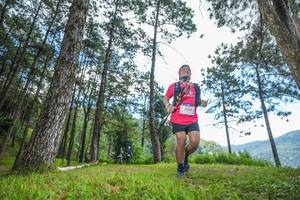 BIB: 
                            <button type="button" onclick="openModal(19287956)" class="btn btn-primary btn-sm float-right btn-popup" data-toggle="modal" data-target=".modal-high-quality">
                        <i class="fas fa-shopping-cart"></i> Add to Cart
                    </button>
                                            <button type="button" onclick="isThisMe(19287956, true)" class="btn btn-success btn-sm float-right btn-popup btn-isme hidden" data-toggle="tooltip" data-placement="bottom" title="นี่คือรูปของคุณใช่ไหม คลิกที่นี่เพื่อเอาเข้าอัลบั้ม">
                        <i class="fas fa-plus"></i> Add to album
                    </button>
                    <button type="button" onclick="isThisMe(19287956, false)" class="btn btn-warning btn-sm float-right btn-popup btn-isnotme hidden">
                        <i class="fas fa-ban"></i> Remove from album
                    </button>