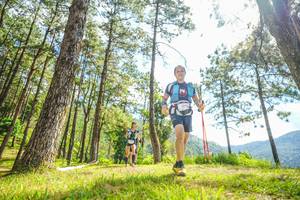 BIB: 
                            <button type="button" onclick="openModal(19288846)" class="btn btn-primary btn-sm float-right btn-popup" data-toggle="modal" data-target=".modal-high-quality">
                        <i class="fas fa-shopping-cart"></i> Add to Cart
                    </button>
                                            <button type="button" onclick="isThisMe(19288846, true)" class="btn btn-success btn-sm float-right btn-popup btn-isme hidden" data-toggle="tooltip" data-placement="bottom" title="นี่คือรูปของคุณใช่ไหม คลิกที่นี่เพื่อเอาเข้าอัลบั้ม">
                        <i class="fas fa-plus"></i> Add to album
                    </button>
                    <button type="button" onclick="isThisMe(19288846, false)" class="btn btn-warning btn-sm float-right btn-popup btn-isnotme hidden">
                        <i class="fas fa-ban"></i> Remove from album
                    </button>