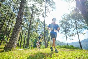 BIB: 
                            <button type="button" onclick="openModal(19286558)" class="btn btn-primary btn-sm float-right btn-popup" data-toggle="modal" data-target=".modal-high-quality">
                        <i class="fas fa-shopping-cart"></i> Add to Cart
                    </button>
                                            <button type="button" onclick="isThisMe(19286558, true)" class="btn btn-success btn-sm float-right btn-popup btn-isme hidden" data-toggle="tooltip" data-placement="bottom" title="นี่คือรูปของคุณใช่ไหม คลิกที่นี่เพื่อเอาเข้าอัลบั้ม">
                        <i class="fas fa-plus"></i> Add to album
                    </button>
                    <button type="button" onclick="isThisMe(19286558, false)" class="btn btn-warning btn-sm float-right btn-popup btn-isnotme hidden">
                        <i class="fas fa-ban"></i> Remove from album
                    </button>