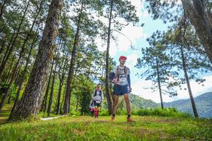 BIB: 
                            <button type="button" onclick="openModal(19291306)" class="btn btn-primary btn-sm float-right btn-popup" data-toggle="modal" data-target=".modal-high-quality">
                        <i class="fas fa-shopping-cart"></i> Add to Cart
                    </button>
                                            <button type="button" onclick="isThisMe(19291306, true)" class="btn btn-success btn-sm float-right btn-popup btn-isme hidden" data-toggle="tooltip" data-placement="bottom" title="นี่คือรูปของคุณใช่ไหม คลิกที่นี่เพื่อเอาเข้าอัลบั้ม">
                        <i class="fas fa-plus"></i> Add to album
                    </button>
                    <button type="button" onclick="isThisMe(19291306, false)" class="btn btn-warning btn-sm float-right btn-popup btn-isnotme hidden">
                        <i class="fas fa-ban"></i> Remove from album
                    </button>