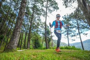 BIB: 1999
                            <button type="button" onclick="openModal(19287637)" class="btn btn-primary btn-sm float-right btn-popup" data-toggle="modal" data-target=".modal-high-quality">
                        <i class="fas fa-shopping-cart"></i> Add to Cart
                    </button>
                                            <button type="button" onclick="isThisMe(19287637, true)" class="btn btn-success btn-sm float-right btn-popup btn-isme hidden" data-toggle="tooltip" data-placement="bottom" title="นี่คือรูปของคุณใช่ไหม คลิกที่นี่เพื่อเอาเข้าอัลบั้ม">
                        <i class="fas fa-plus"></i> Add to album
                    </button>
                    <button type="button" onclick="isThisMe(19287637, false)" class="btn btn-warning btn-sm float-right btn-popup btn-isnotme hidden">
                        <i class="fas fa-ban"></i> Remove from album
                    </button>