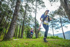 BIB: 195, 
                            <button type="button" onclick="openModal(19288586)" class="btn btn-primary btn-sm float-right btn-popup" data-toggle="modal" data-target=".modal-high-quality">
                        <i class="fas fa-shopping-cart"></i> Add to Cart
                    </button>
                                            <button type="button" onclick="isThisMe(19288586, true)" class="btn btn-success btn-sm float-right btn-popup btn-isme hidden" data-toggle="tooltip" data-placement="bottom" title="นี่คือรูปของคุณใช่ไหม คลิกที่นี่เพื่อเอาเข้าอัลบั้ม">
                        <i class="fas fa-plus"></i> Add to album
                    </button>
                    <button type="button" onclick="isThisMe(19288586, false)" class="btn btn-warning btn-sm float-right btn-popup btn-isnotme hidden">
                        <i class="fas fa-ban"></i> Remove from album
                    </button>