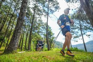 BIB: 
                            <button type="button" onclick="openModal(19286630)" class="btn btn-primary btn-sm float-right btn-popup" data-toggle="modal" data-target=".modal-high-quality">
                        <i class="fas fa-shopping-cart"></i> Add to Cart
                    </button>
                                            <button type="button" onclick="isThisMe(19286630, true)" class="btn btn-success btn-sm float-right btn-popup btn-isme hidden" data-toggle="tooltip" data-placement="bottom" title="นี่คือรูปของคุณใช่ไหม คลิกที่นี่เพื่อเอาเข้าอัลบั้ม">
                        <i class="fas fa-plus"></i> Add to album
                    </button>
                    <button type="button" onclick="isThisMe(19286630, false)" class="btn btn-warning btn-sm float-right btn-popup btn-isnotme hidden">
                        <i class="fas fa-ban"></i> Remove from album
                    </button>