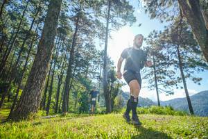 BIB: 
                            <button type="button" onclick="openModal(19280868)" class="btn btn-primary btn-sm float-right btn-popup" data-toggle="modal" data-target=".modal-high-quality">
                        <i class="fas fa-shopping-cart"></i> Add to Cart
                    </button>
                                            <button type="button" onclick="isThisMe(19280868, true)" class="btn btn-success btn-sm float-right btn-popup btn-isme hidden" data-toggle="tooltip" data-placement="bottom" title="นี่คือรูปของคุณใช่ไหม คลิกที่นี่เพื่อเอาเข้าอัลบั้ม">
                        <i class="fas fa-plus"></i> Add to album
                    </button>
                    <button type="button" onclick="isThisMe(19280868, false)" class="btn btn-warning btn-sm float-right btn-popup btn-isnotme hidden">
                        <i class="fas fa-ban"></i> Remove from album
                    </button>