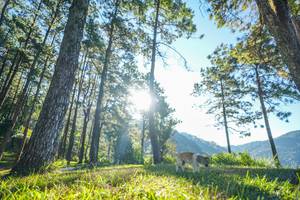 BIB: 
                            <button type="button" onclick="openModal(19278805)" class="btn btn-primary btn-sm float-right btn-popup" data-toggle="modal" data-target=".modal-high-quality">
                        <i class="fas fa-shopping-cart"></i> Add to Cart
                    </button>
                                            <button type="button" onclick="isThisMe(19278805, true)" class="btn btn-success btn-sm float-right btn-popup btn-isme hidden" data-toggle="tooltip" data-placement="bottom" title="นี่คือรูปของคุณใช่ไหม คลิกที่นี่เพื่อเอาเข้าอัลบั้ม">
                        <i class="fas fa-plus"></i> Add to album
                    </button>
                    <button type="button" onclick="isThisMe(19278805, false)" class="btn btn-warning btn-sm float-right btn-popup btn-isnotme hidden">
                        <i class="fas fa-ban"></i> Remove from album
                    </button>