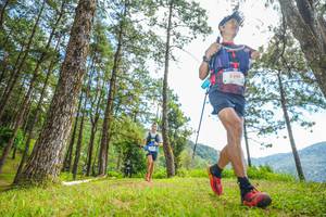 BIB: 5398
                            <button type="button" onclick="openModal(19288438)" class="btn btn-primary btn-sm float-right btn-popup" data-toggle="modal" data-target=".modal-high-quality">
                        <i class="fas fa-shopping-cart"></i> Add to Cart
                    </button>
                                            <button type="button" onclick="isThisMe(19288438, true)" class="btn btn-success btn-sm float-right btn-popup btn-isme hidden" data-toggle="tooltip" data-placement="bottom" title="นี่คือรูปของคุณใช่ไหม คลิกที่นี่เพื่อเอาเข้าอัลบั้ม">
                        <i class="fas fa-plus"></i> Add to album
                    </button>
                    <button type="button" onclick="isThisMe(19288438, false)" class="btn btn-warning btn-sm float-right btn-popup btn-isnotme hidden">
                        <i class="fas fa-ban"></i> Remove from album
                    </button>