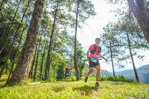 BIB: 
                            <button type="button" onclick="openModal(19287056)" class="btn btn-primary btn-sm float-right btn-popup" data-toggle="modal" data-target=".modal-high-quality">
                        <i class="fas fa-shopping-cart"></i> Add to Cart
                    </button>
                                            <button type="button" onclick="isThisMe(19287056, true)" class="btn btn-success btn-sm float-right btn-popup btn-isme hidden" data-toggle="tooltip" data-placement="bottom" title="นี่คือรูปของคุณใช่ไหม คลิกที่นี่เพื่อเอาเข้าอัลบั้ม">
                        <i class="fas fa-plus"></i> Add to album
                    </button>
                    <button type="button" onclick="isThisMe(19287056, false)" class="btn btn-warning btn-sm float-right btn-popup btn-isnotme hidden">
                        <i class="fas fa-ban"></i> Remove from album
                    </button>